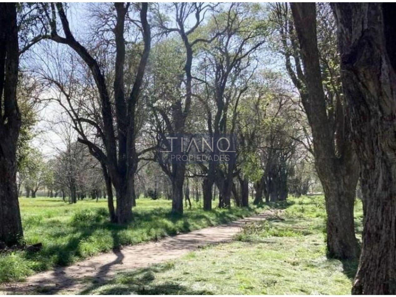 VENTA CASA 4 AMB JARDIN - CLUB PRIVADO EN MONTE GRANDE